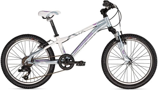 Bicycle Image