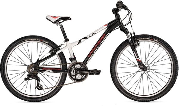 Bicycle Image