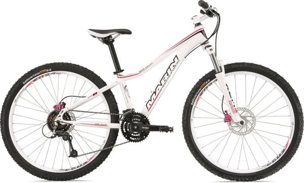 Bicycle Image