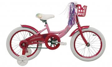 Bicycle Image