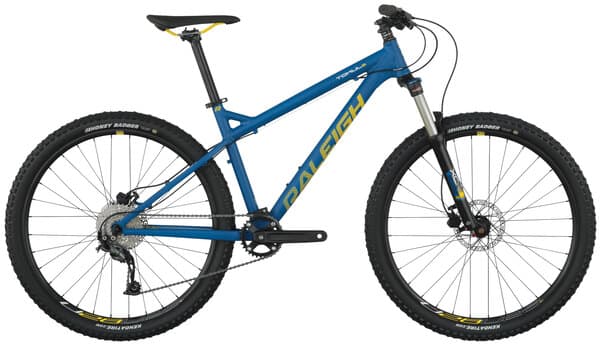 Bicycle Image
