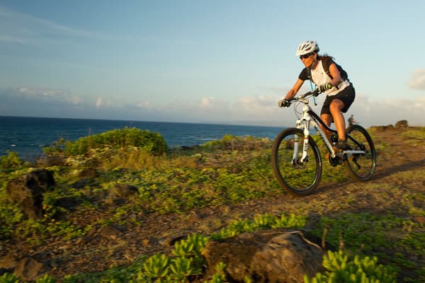 Bicycle Image