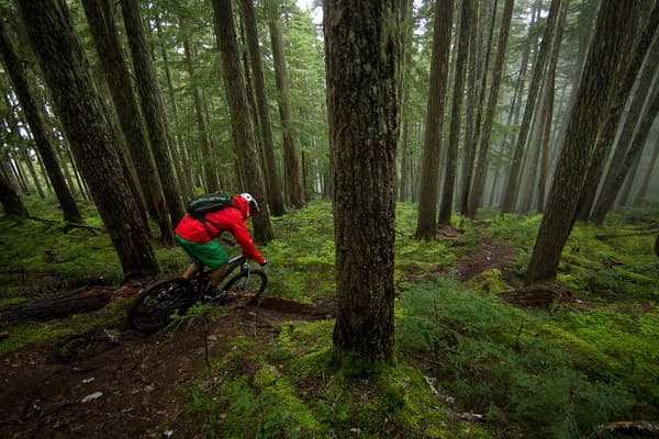 Bicycle Image