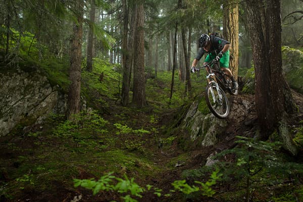 Bicycle Image