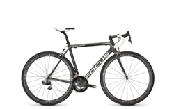 Focus izalco max 2017 store