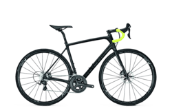Focus paralane donna clearance