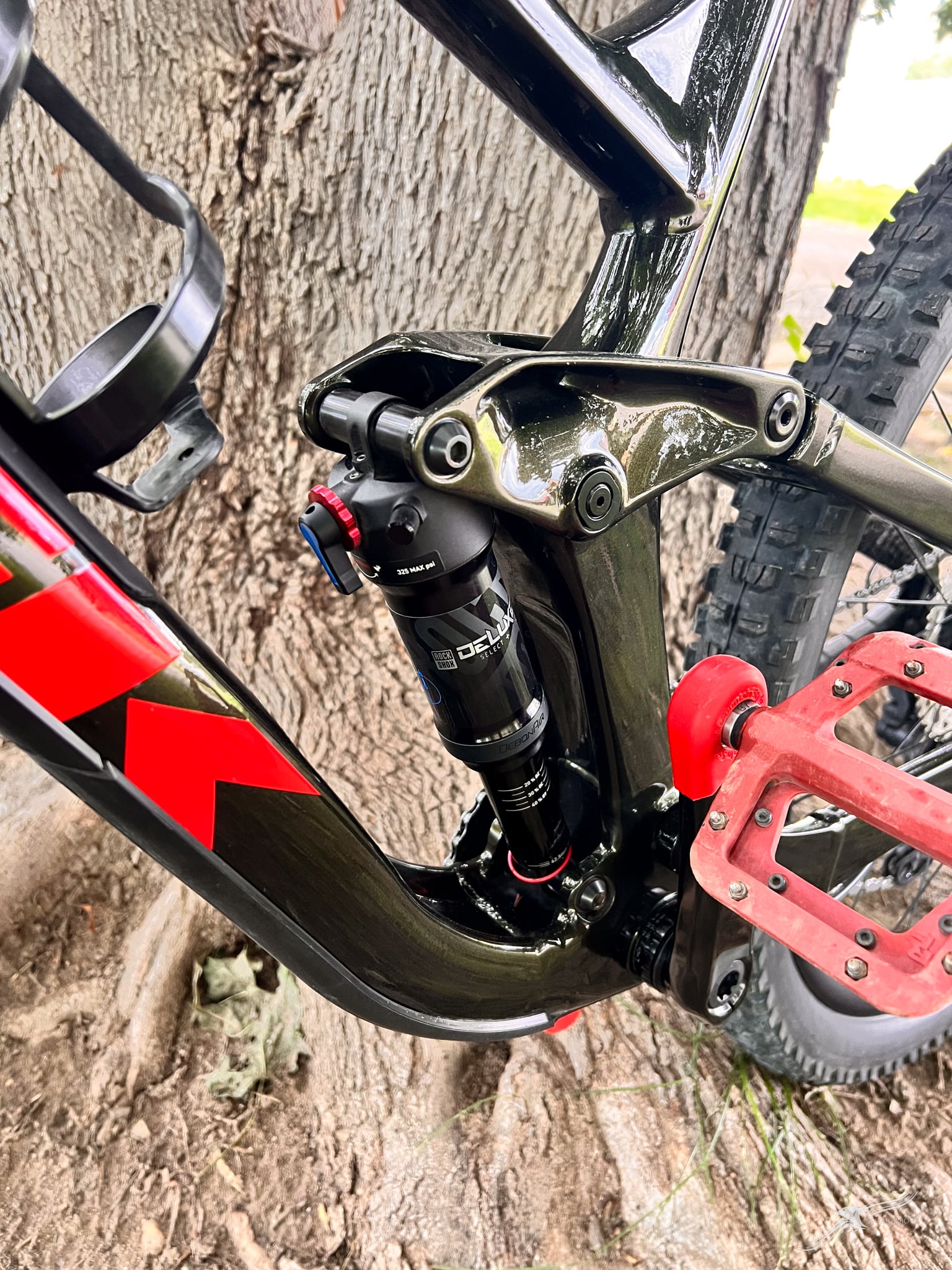 Bike Image