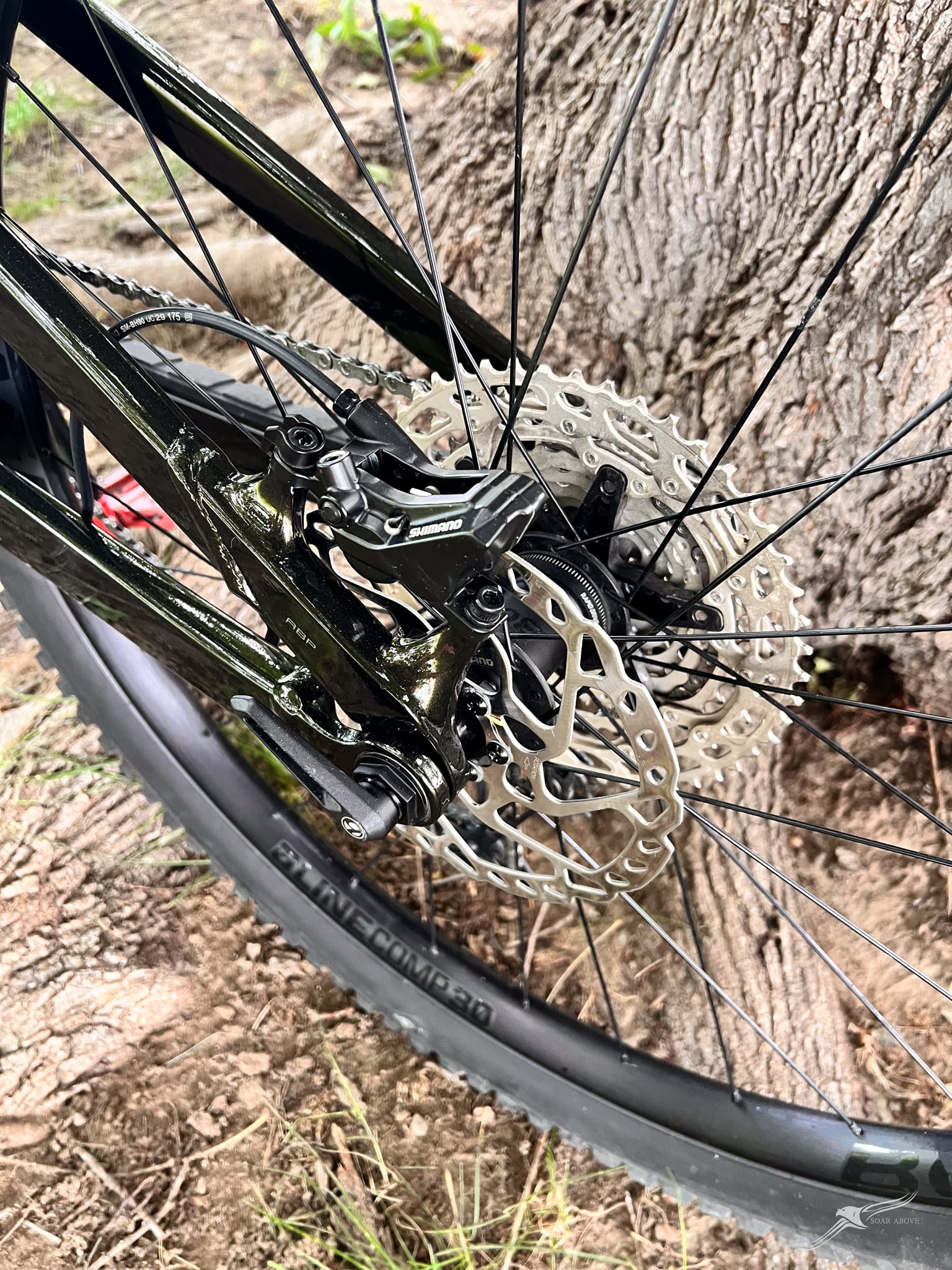 Bike Image