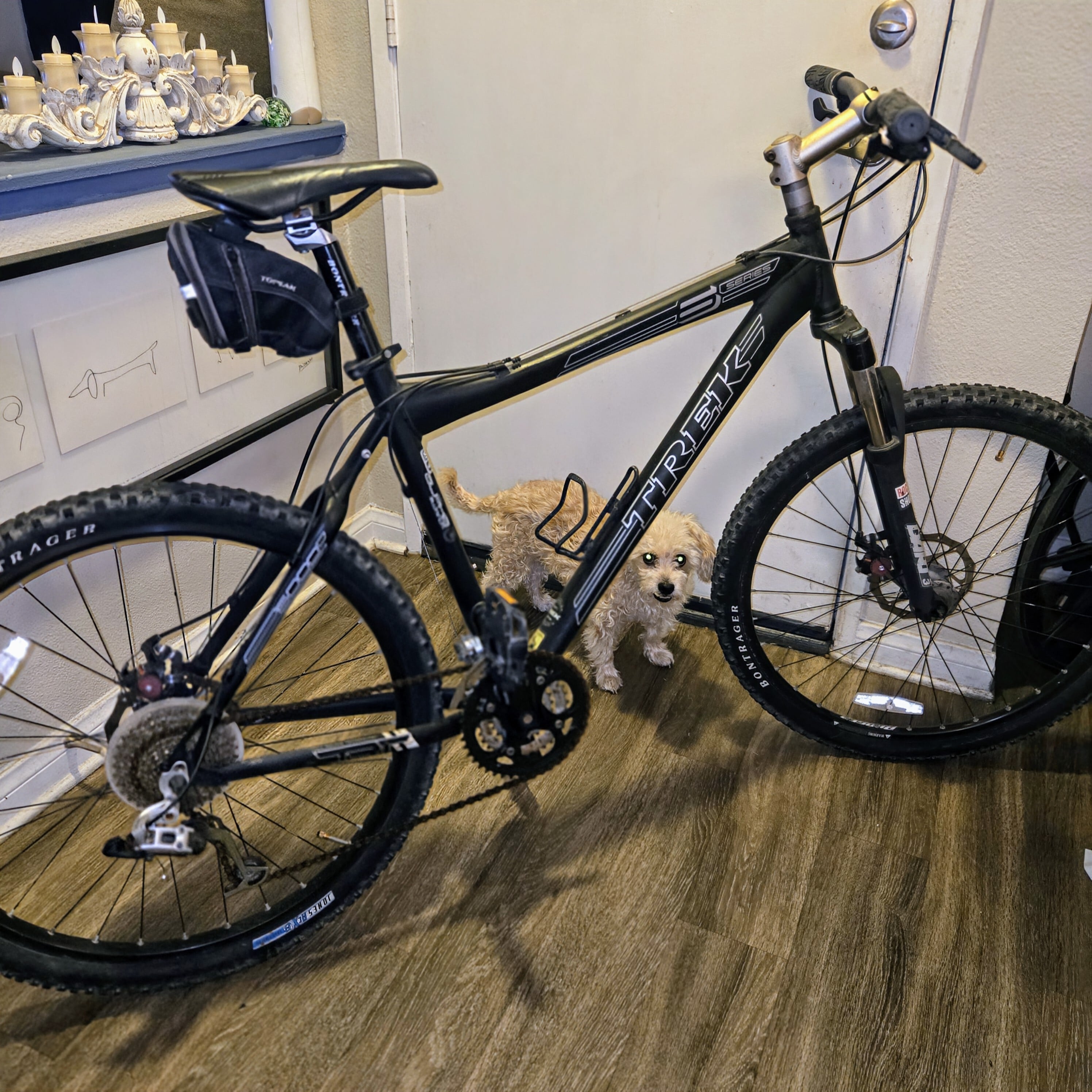 Bike Image