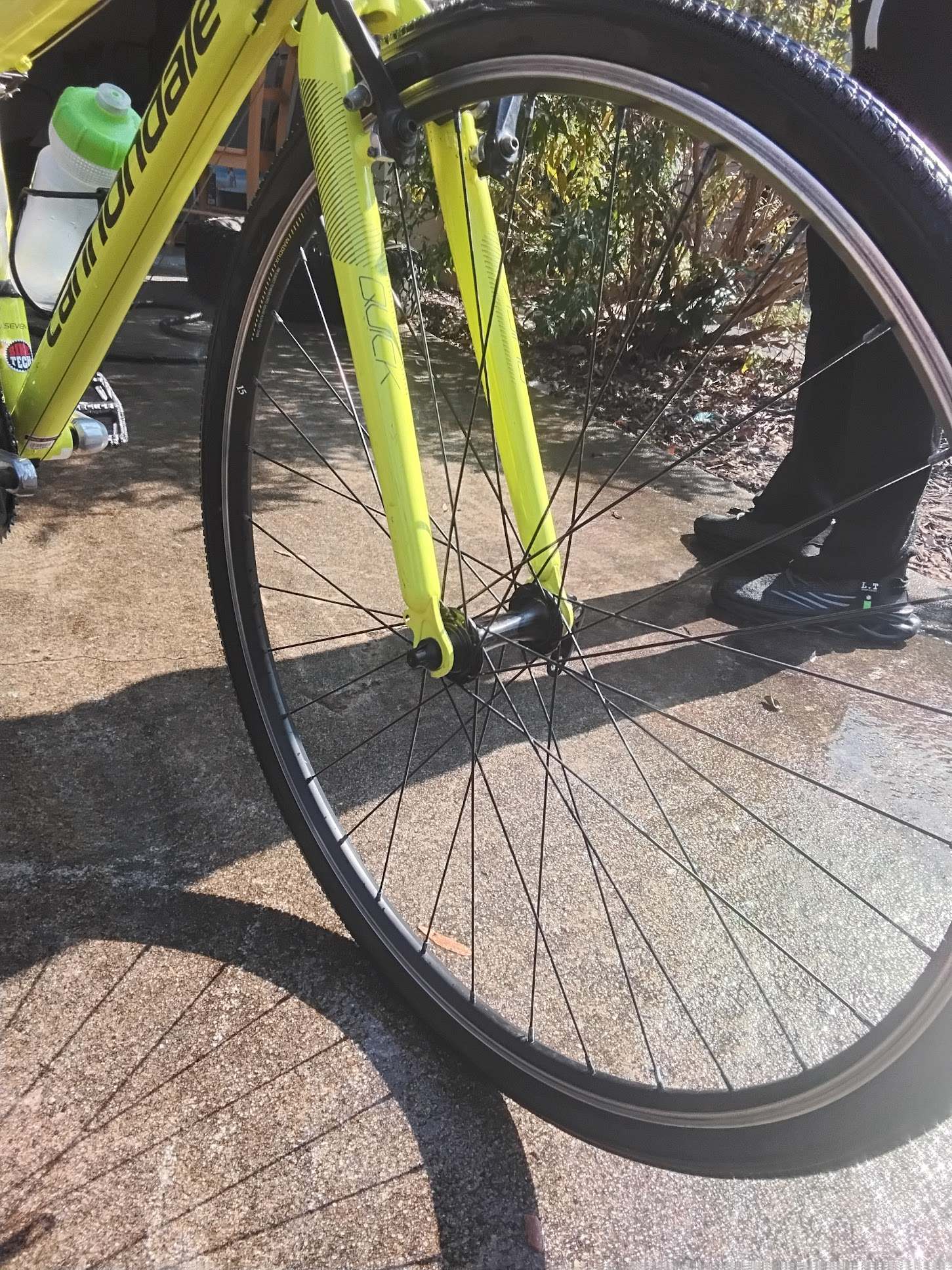 Bike Image