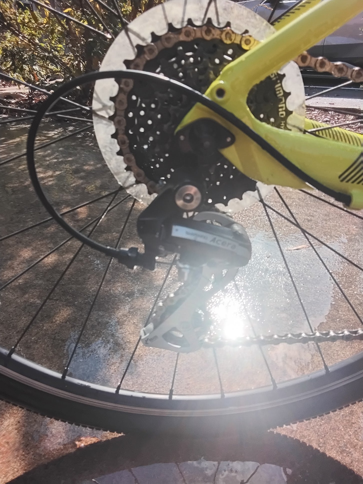 Bike Image